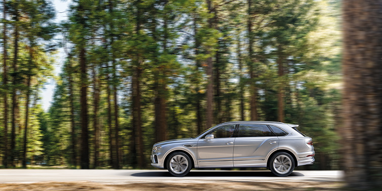 Bentley Al Khobar Bentley Bentayga Extended Wheelbase SUV in Moonbeam paint driving dynamically on a forest road